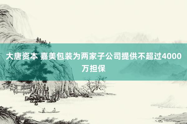 大唐资本 嘉美包装为两家子公司提供不超过4000万担保
